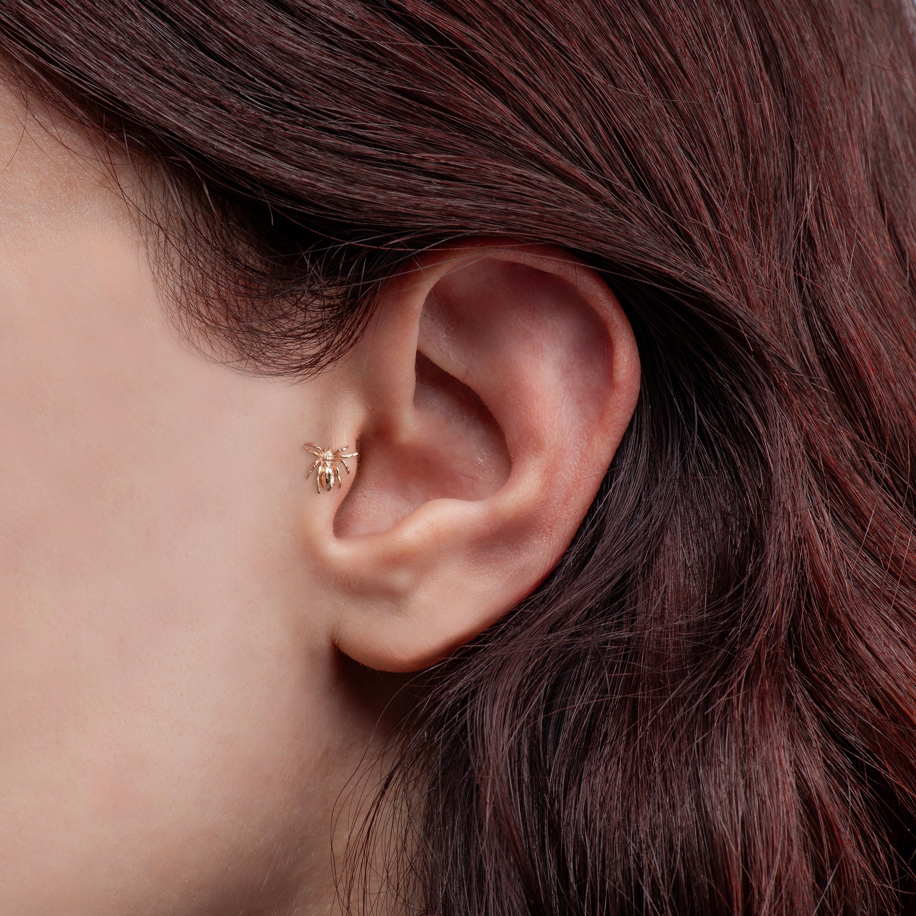 14 Ayar Örümcek Altın Piercing