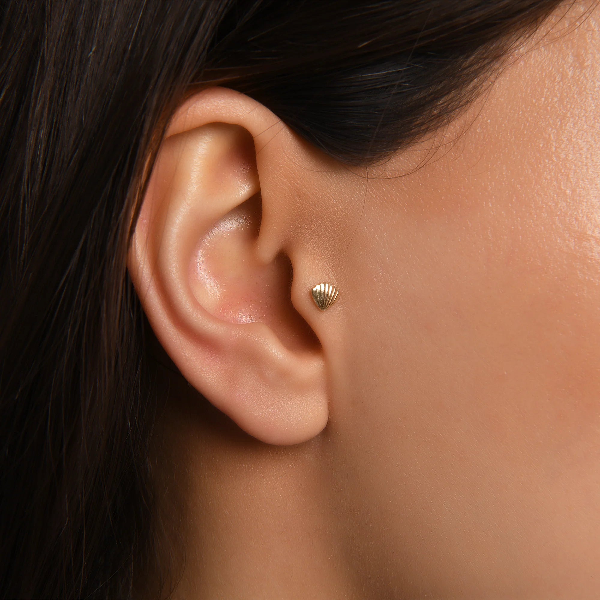 Lusha Deniz Kabuğu Altın Piercing