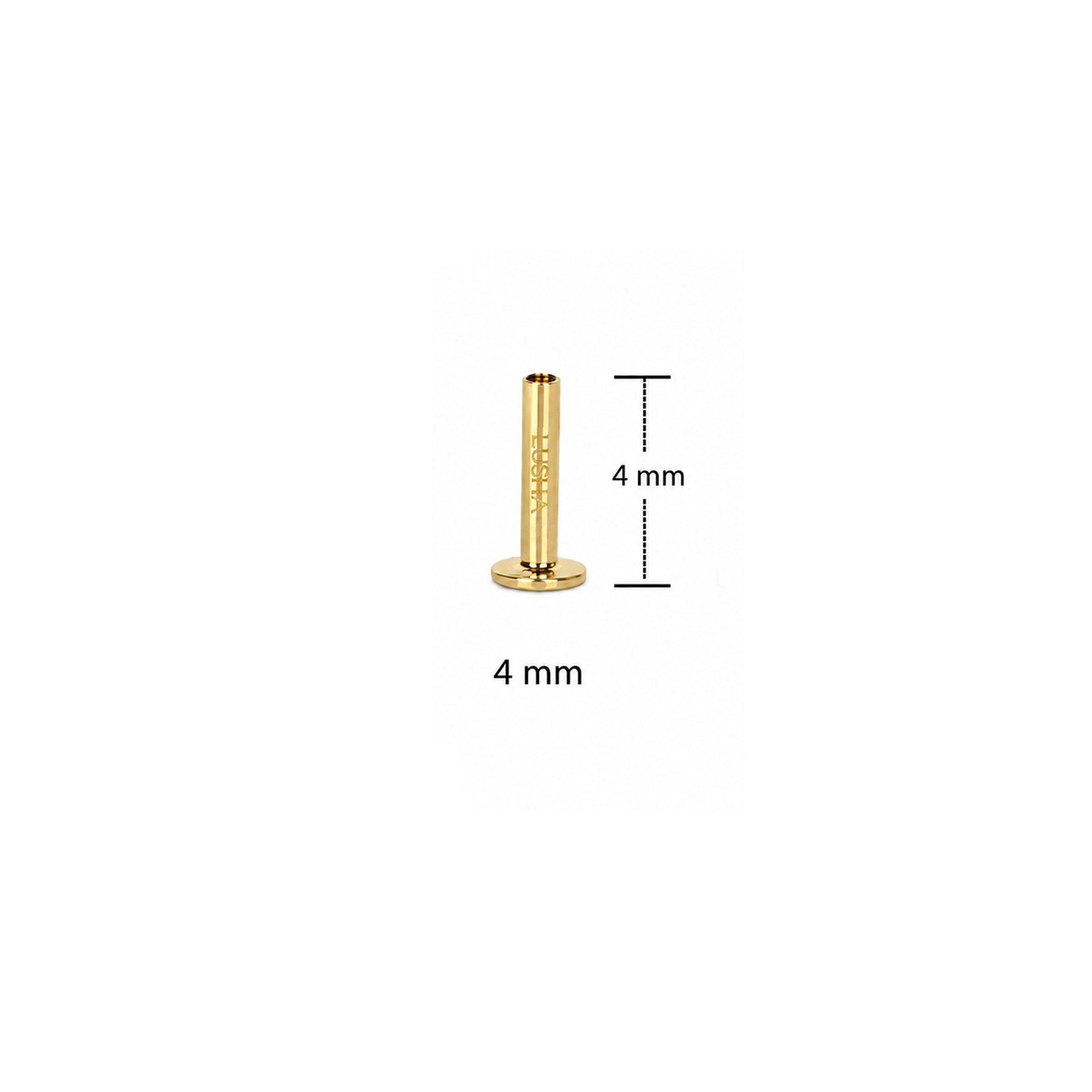 Lusha Piercing Altın Bar