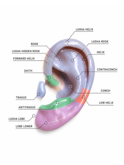 Koi Mor Piercing (Sağ Kulak)